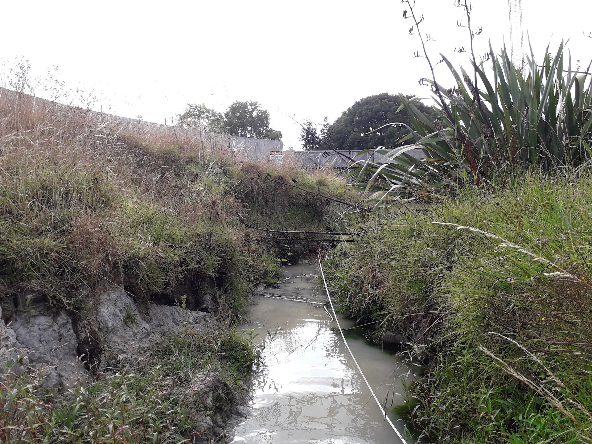 Ōmaru Creek
