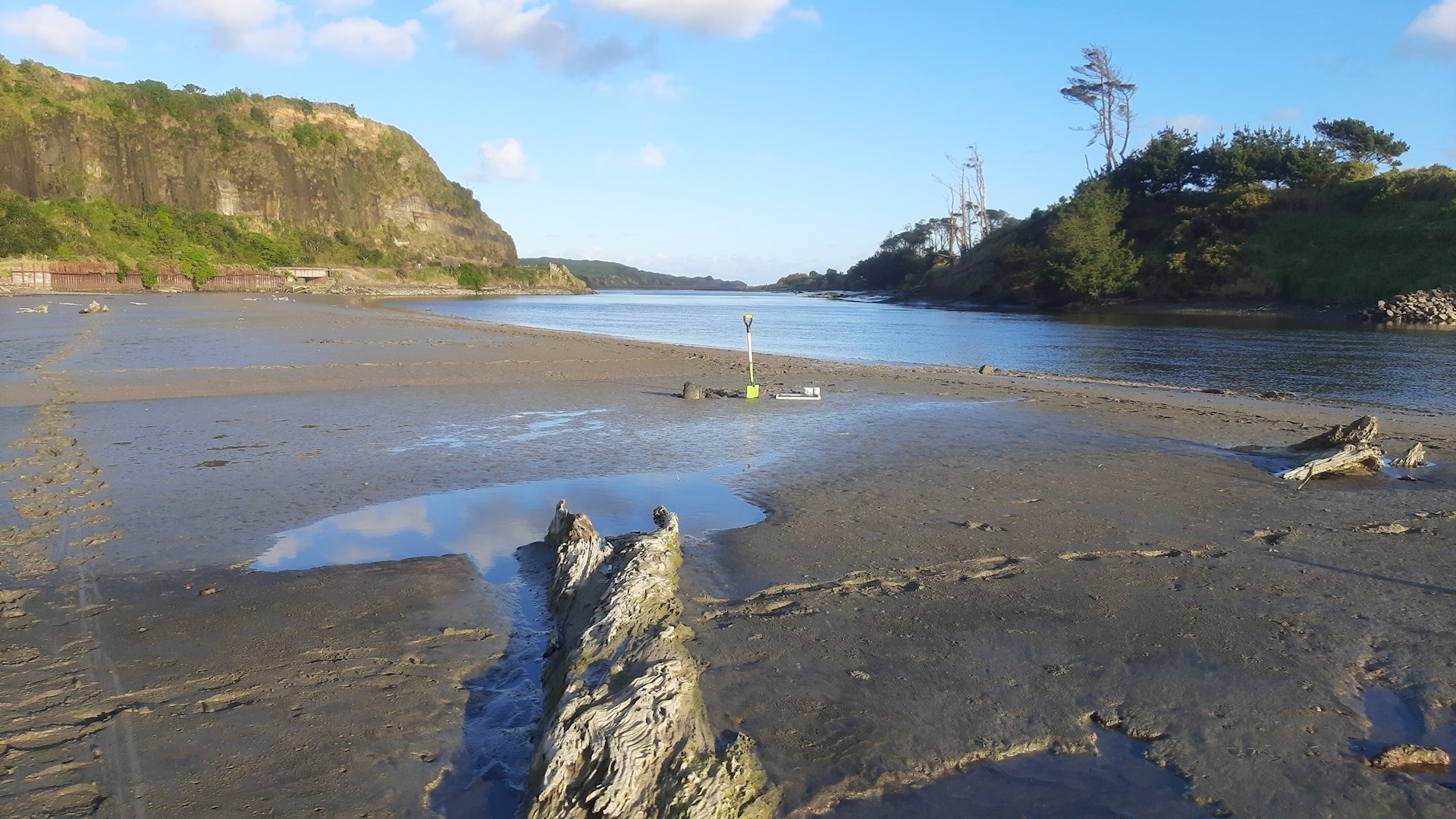 Pātea
