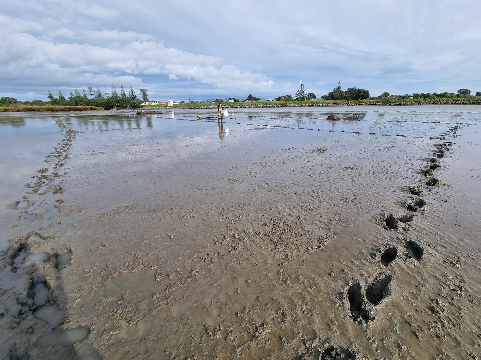 Waitara