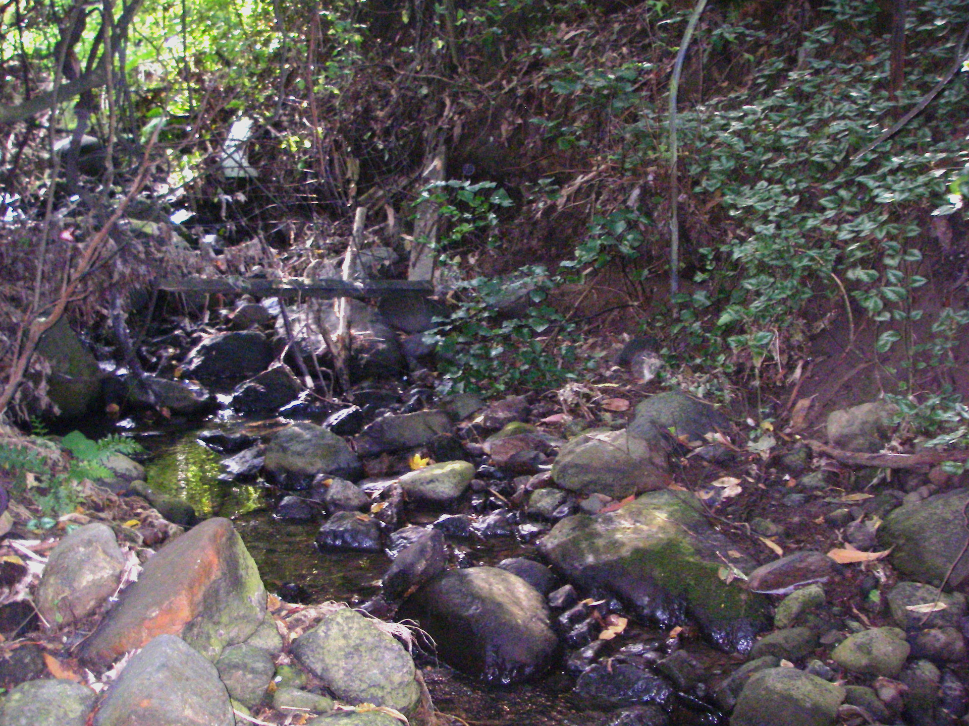 Zephyr Stream