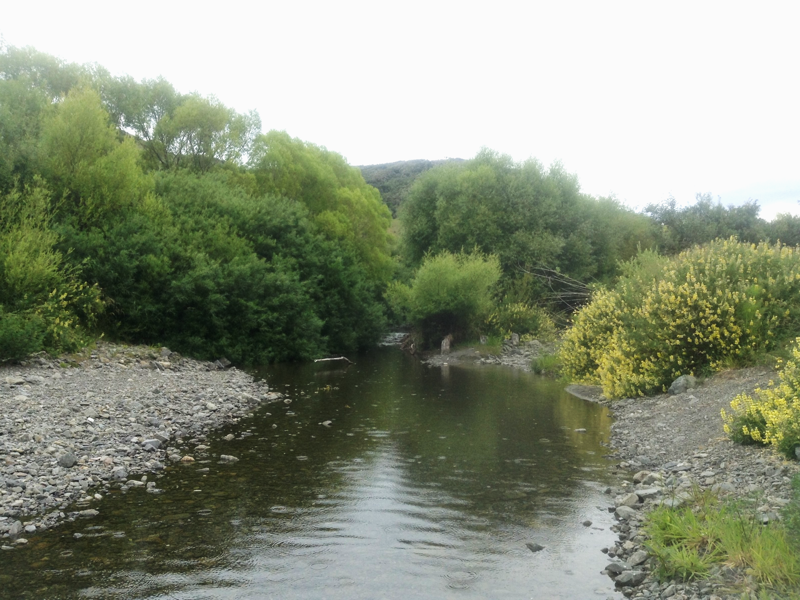 Oaro River