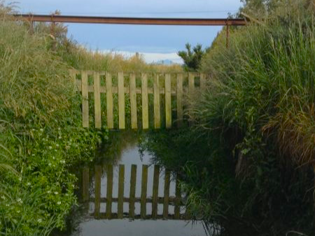 Parakanoi Drain