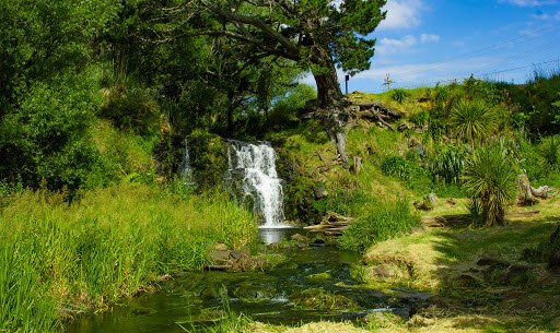 Auckland region