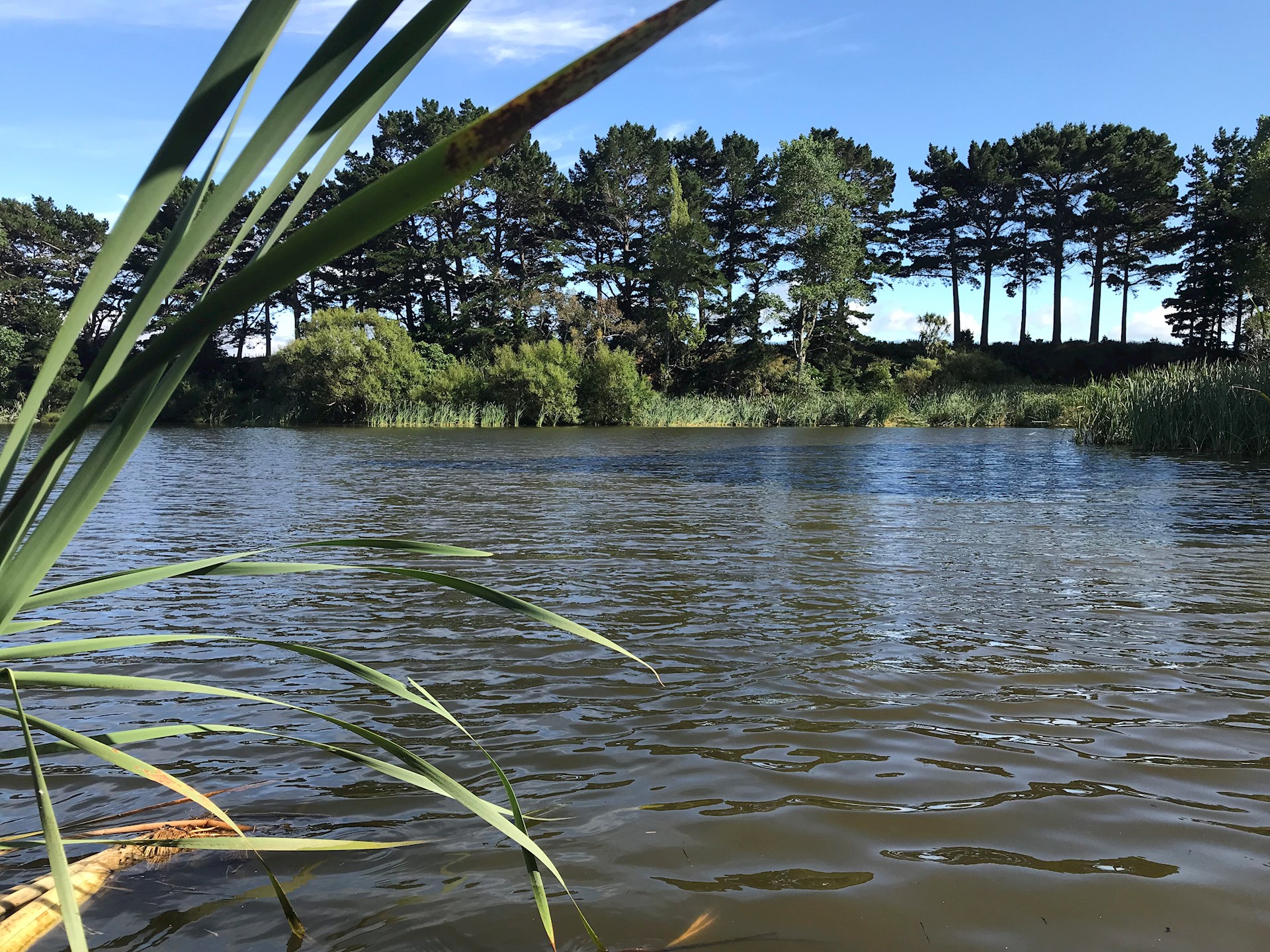 Lake Nganoke