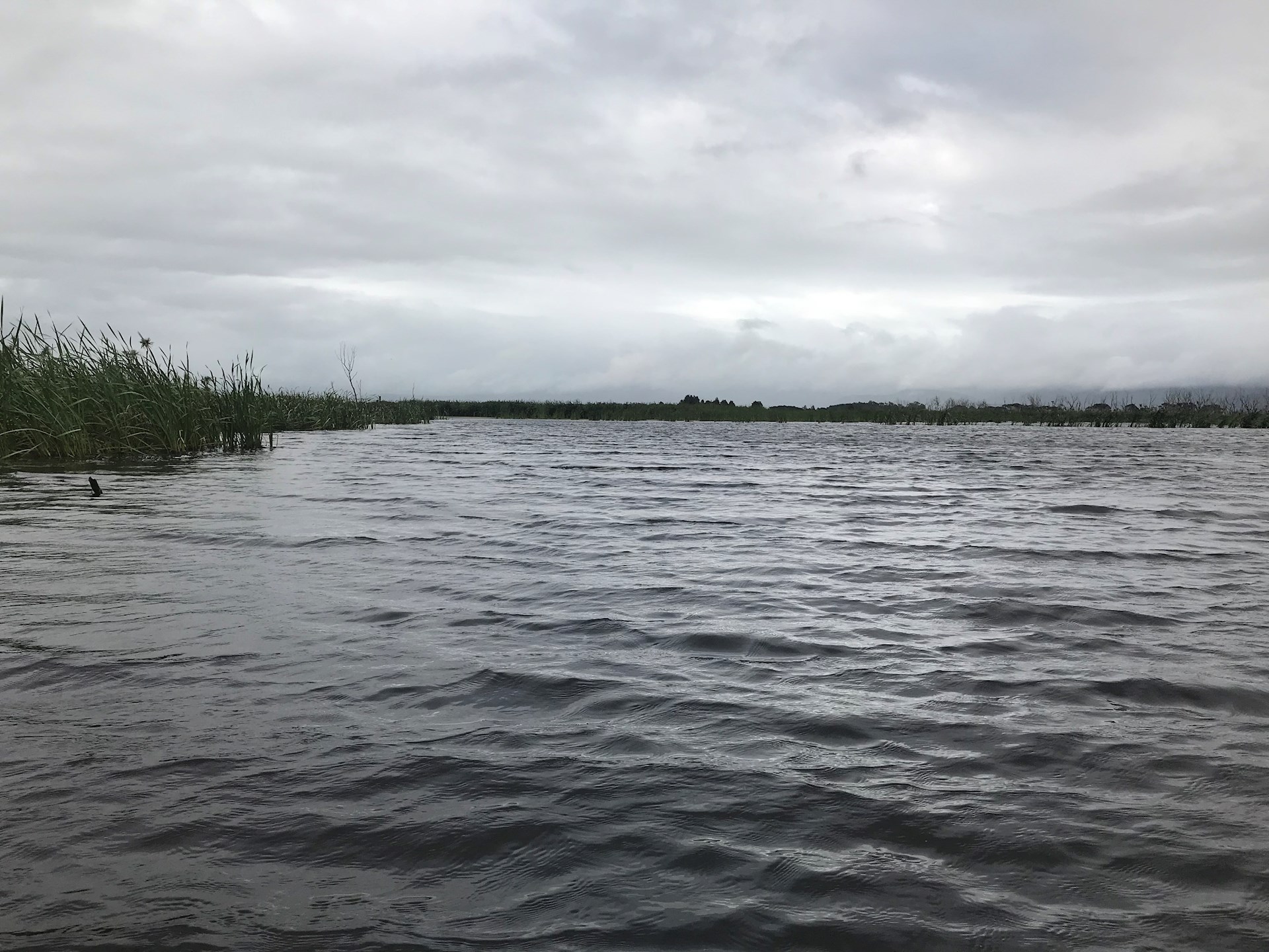 Boggy Pond