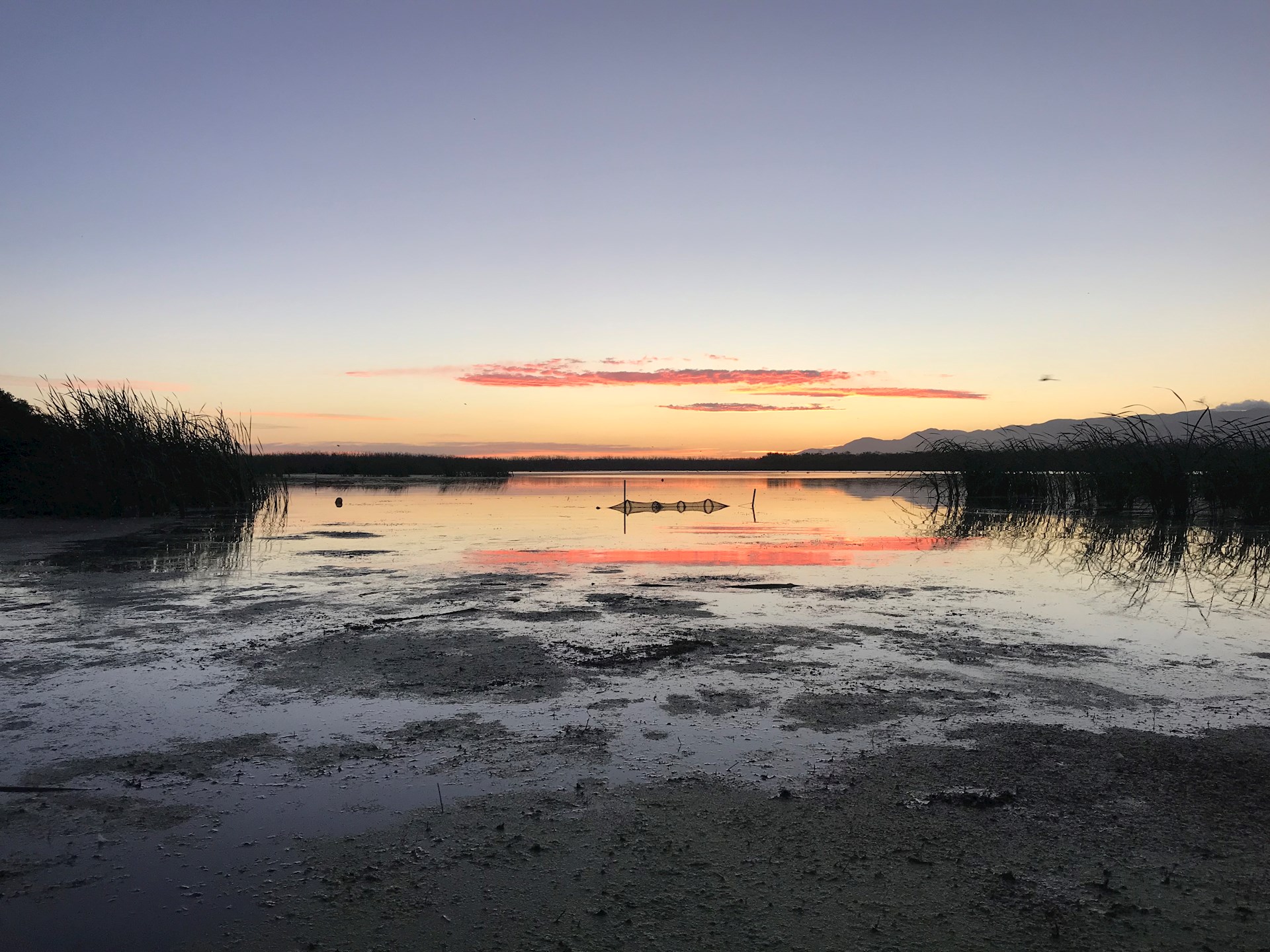 Matthews Lagoon