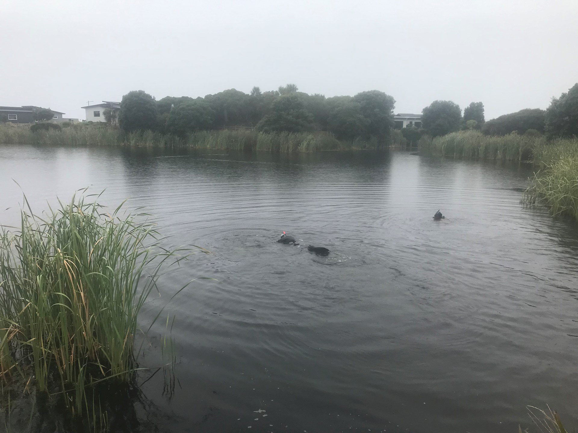 Lake Ngarara