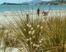 010-tahunanui-beach-0312