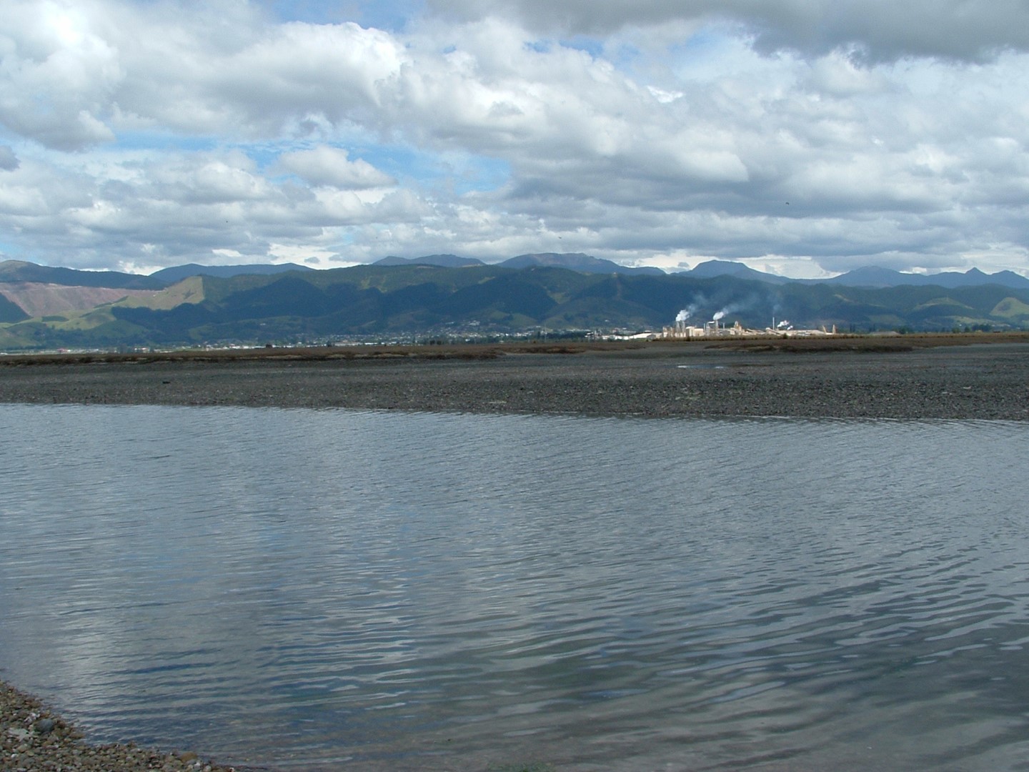 Tasman region