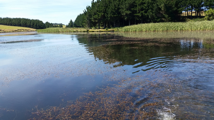 Lake Vincent