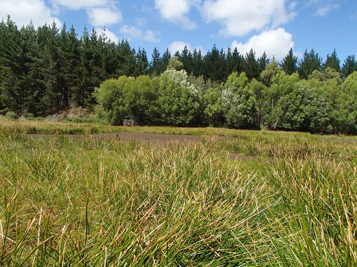 Lake Herbert