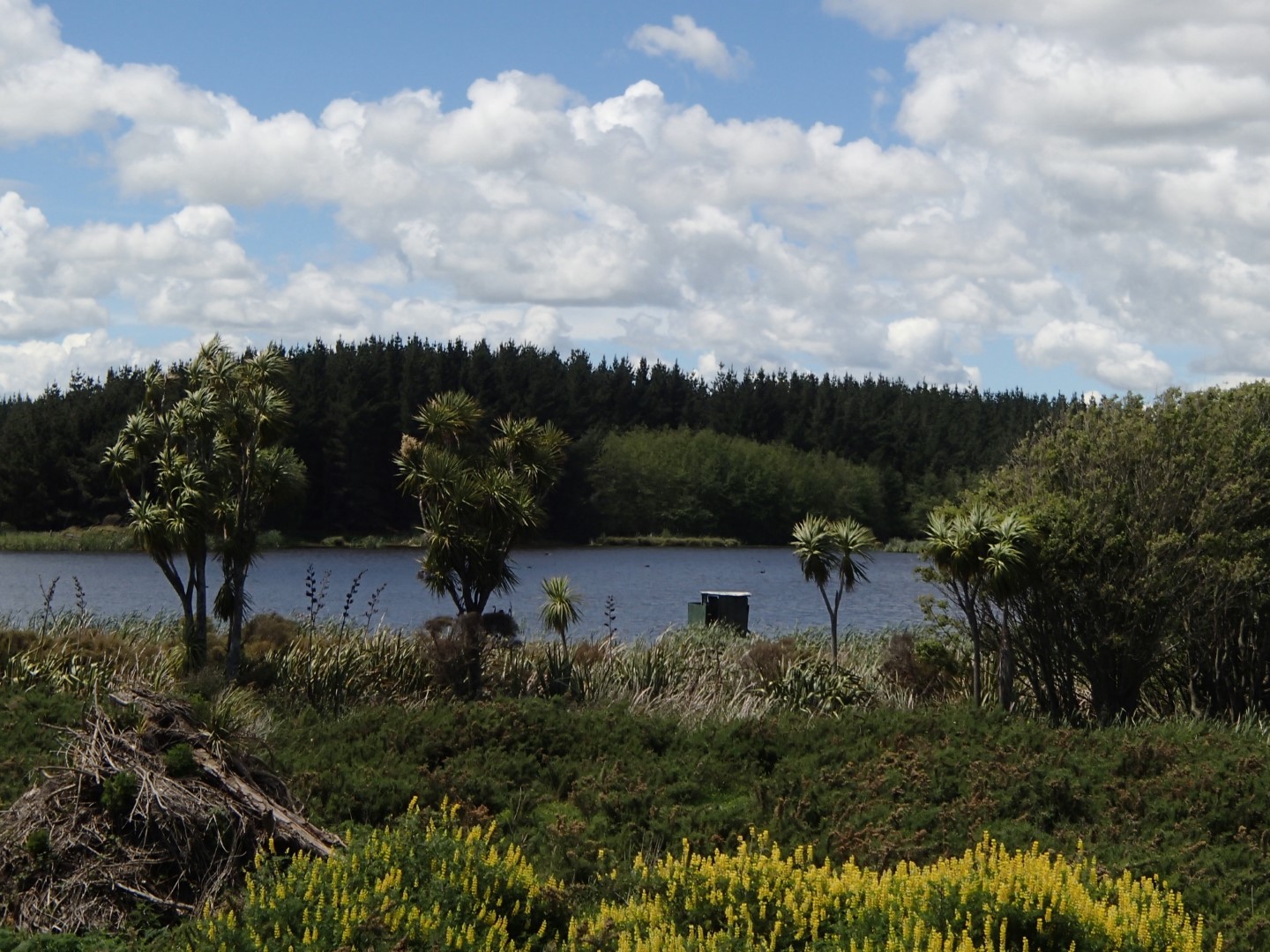 Lake Koputara