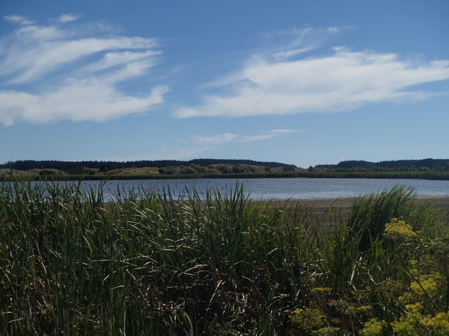 Pukepuke Lagoon