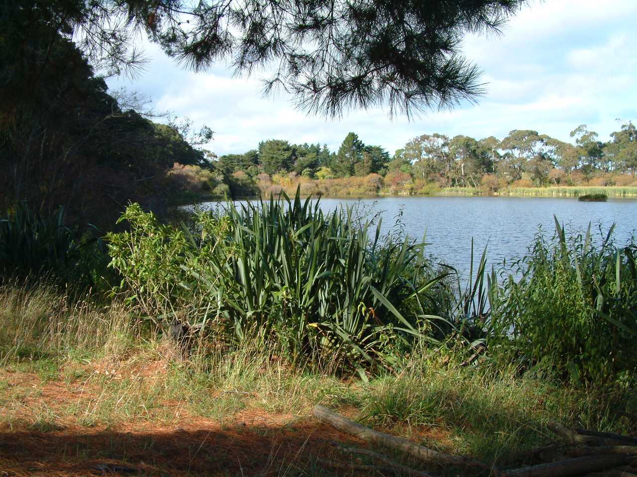 Lake Westmere