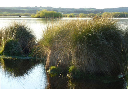 Lake Tuakitoto