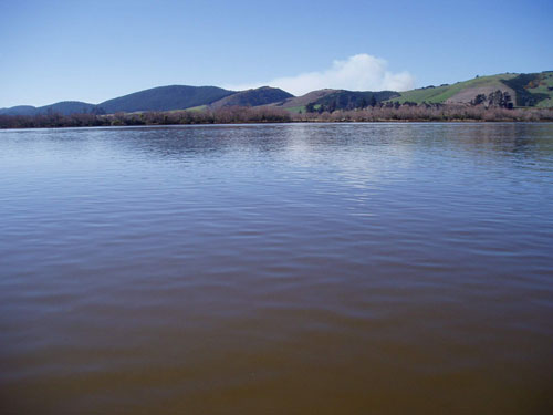 Lake Waihola
