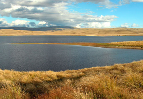 Lake Onslow