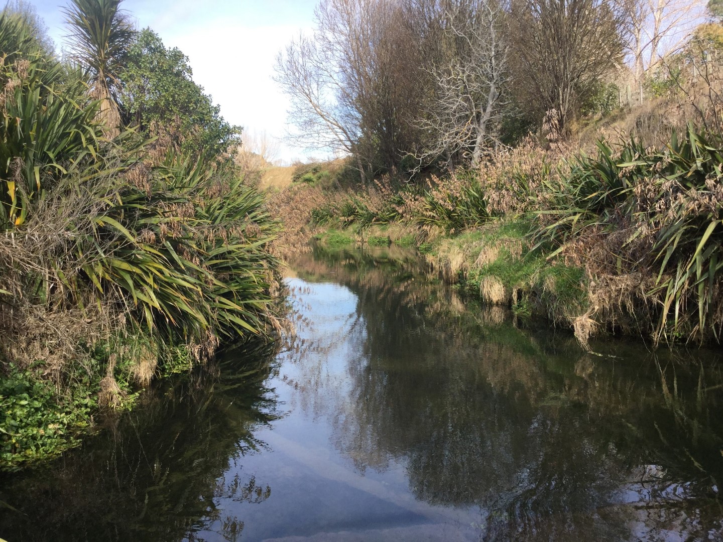 Maraetotara and Waimarama