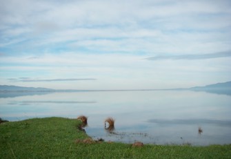 Lake Wairarapa