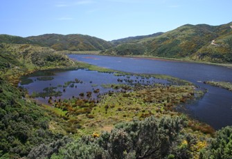 Lake Kohangatera