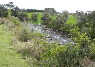 Kaupokonui River US of Kaponga Ponds