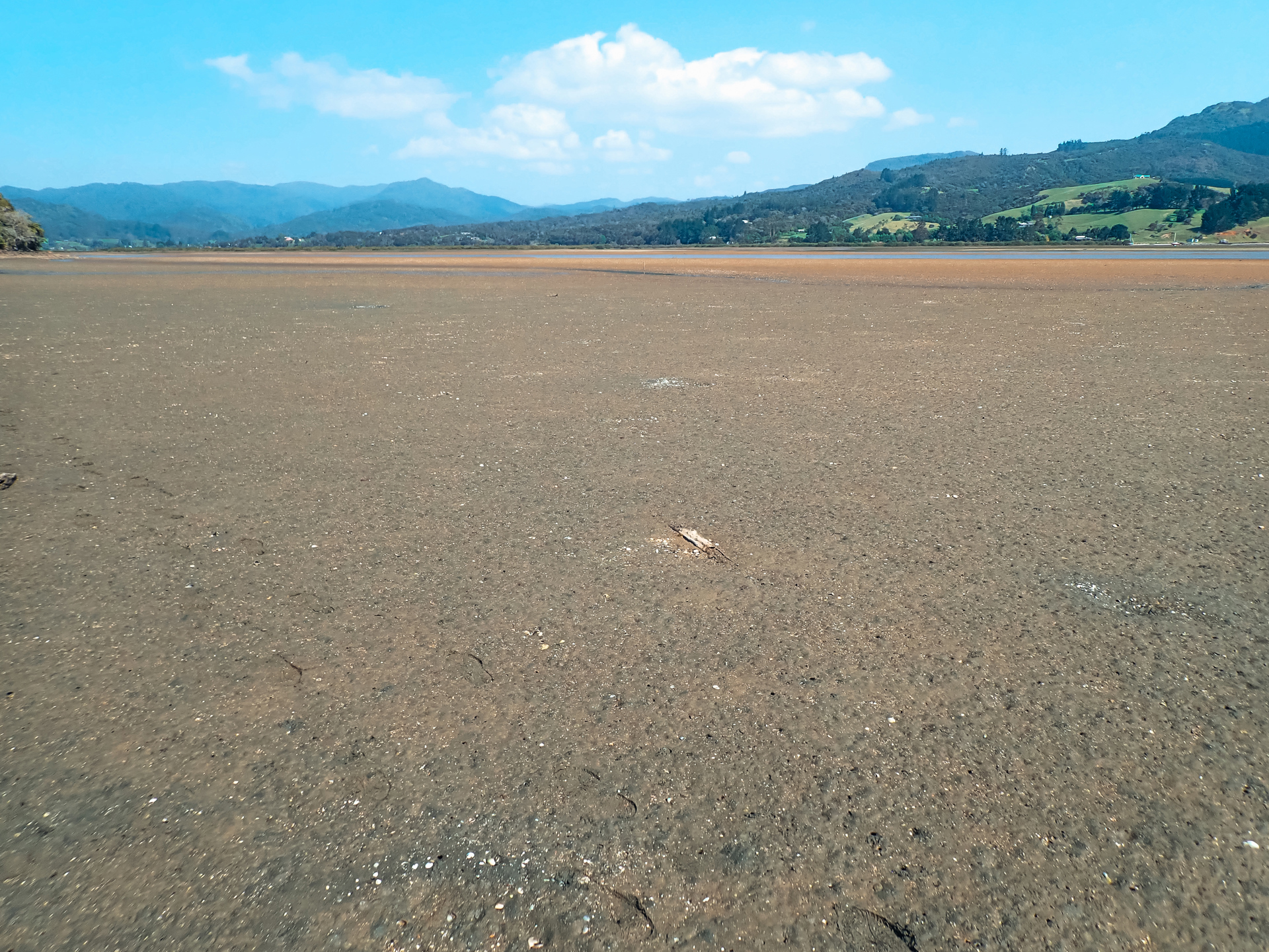 Manaia