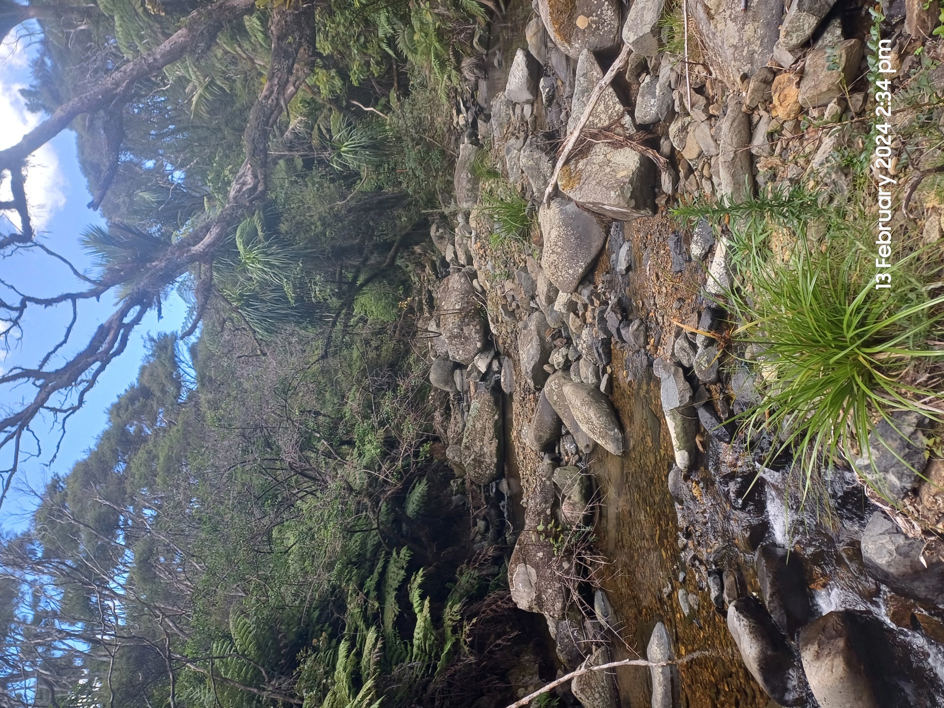 Stony Bay Creek