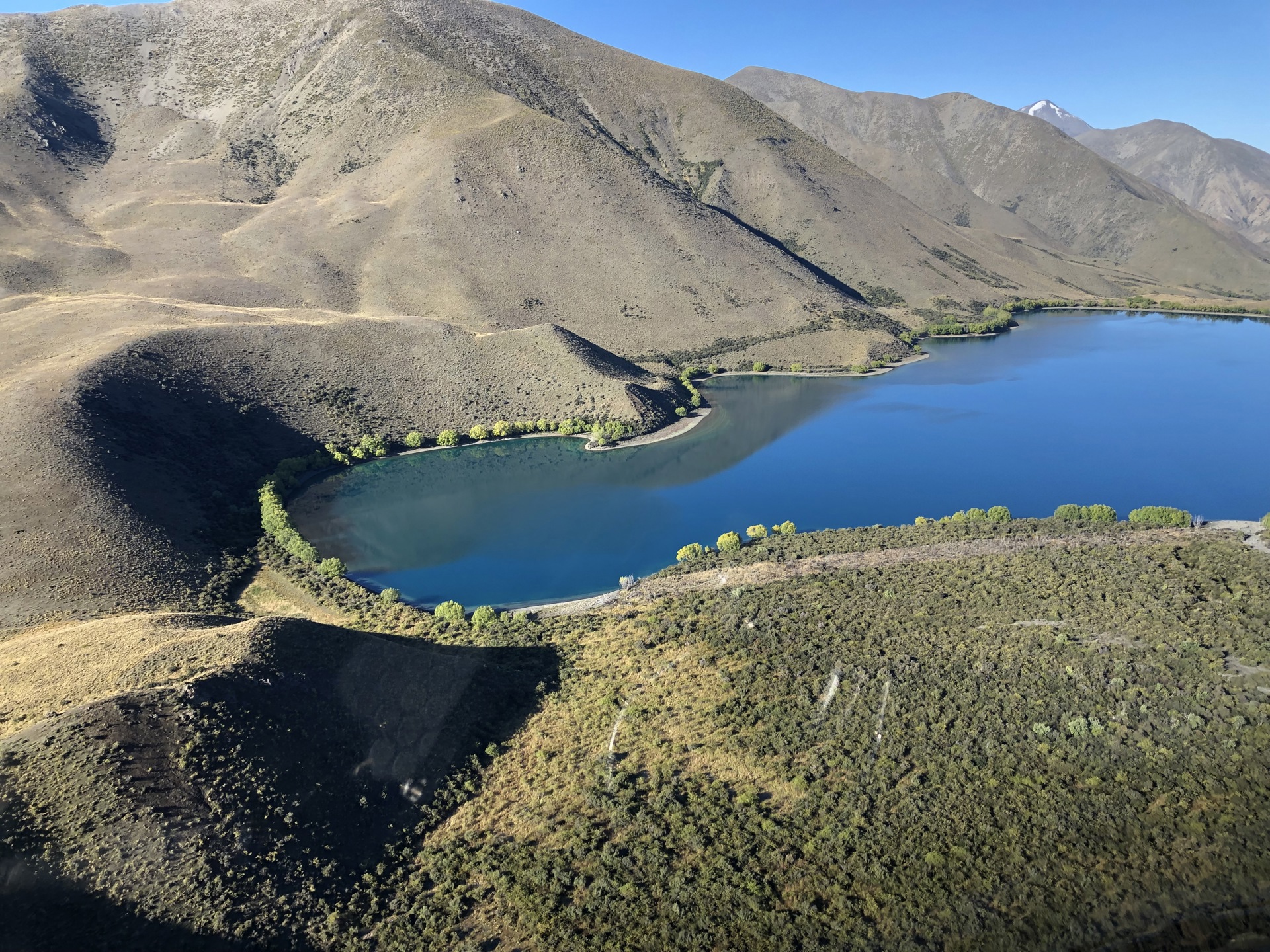 Marlborough region