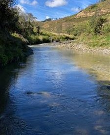 Mangapoike