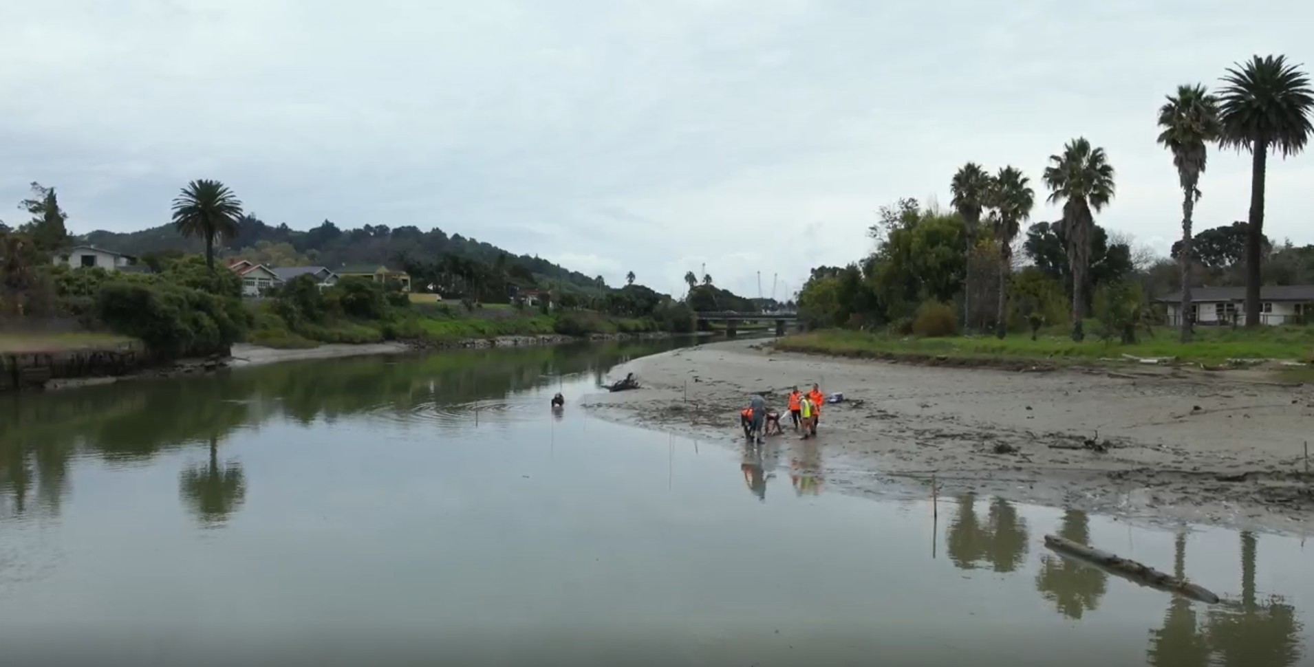 Tūranganui Estuary