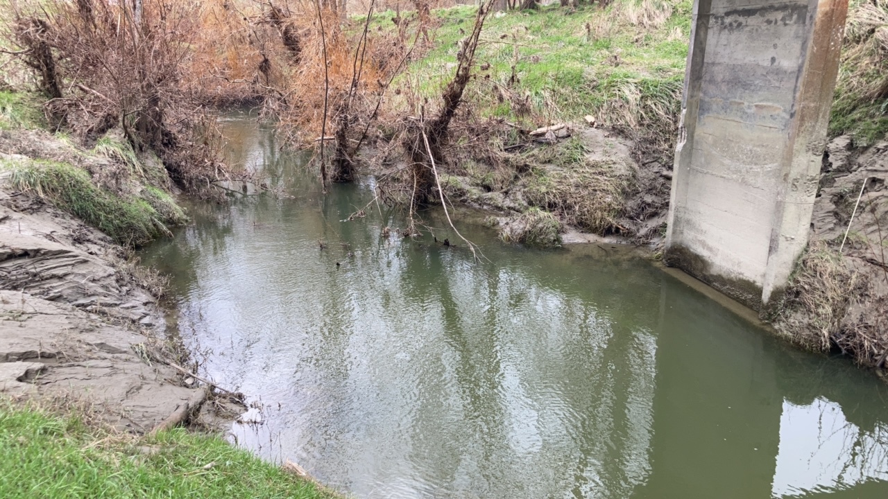 Turihaua Stream