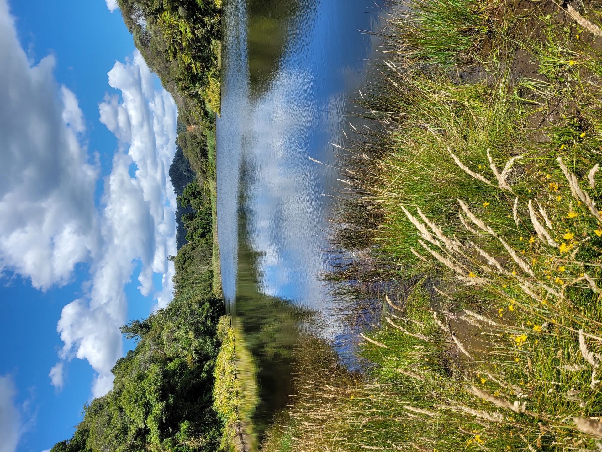 Lake Rotokawau