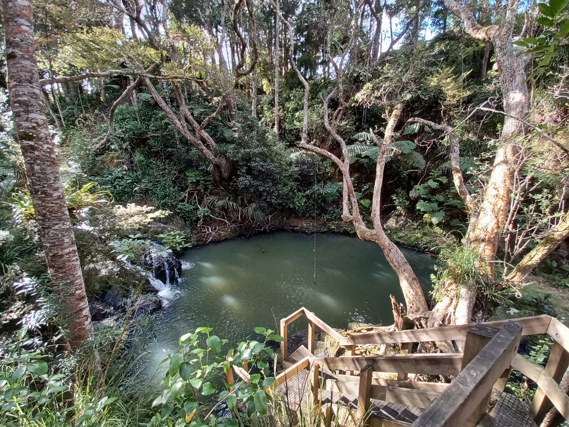 Kohuroa Stream