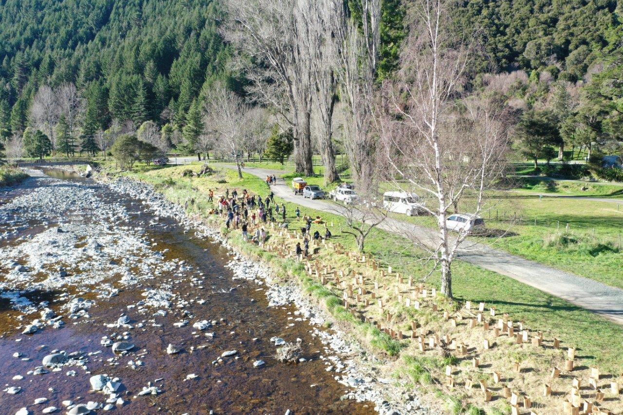 Mahitahi Maitai