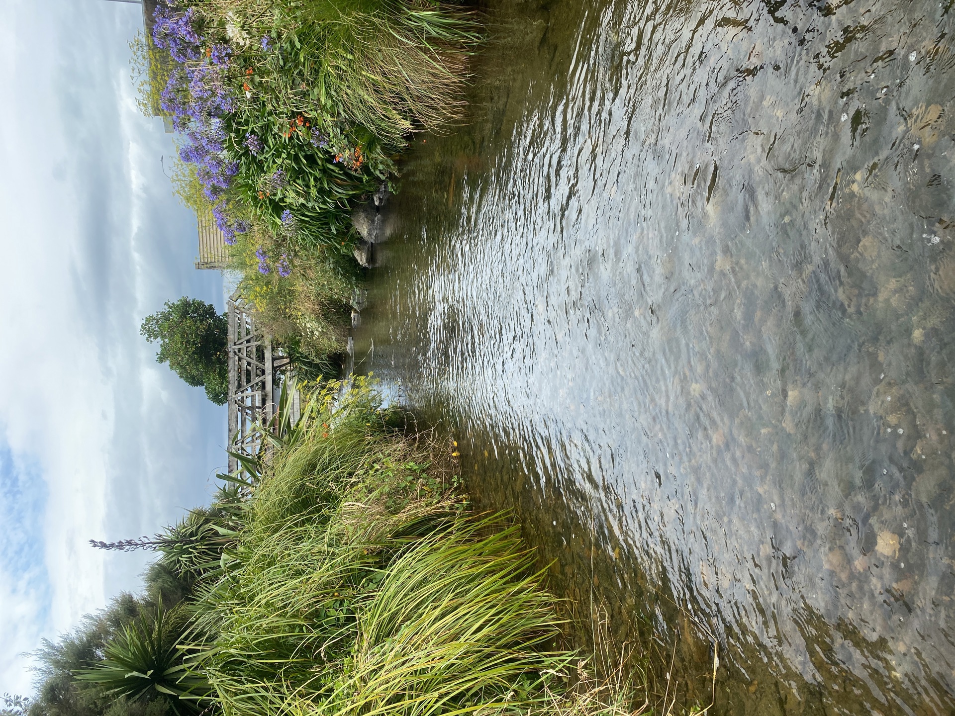 Korokoro Stream