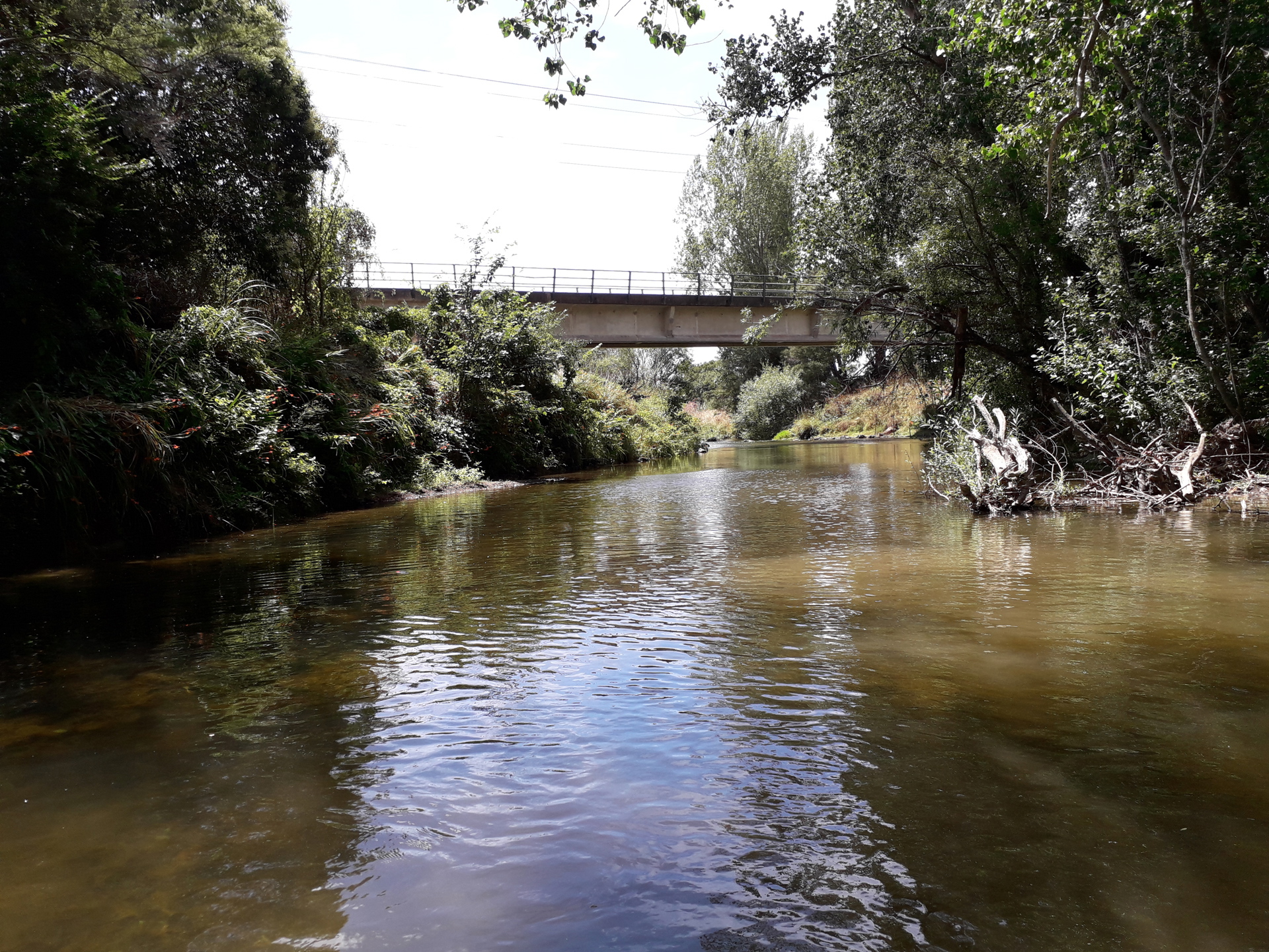 Wairoa River