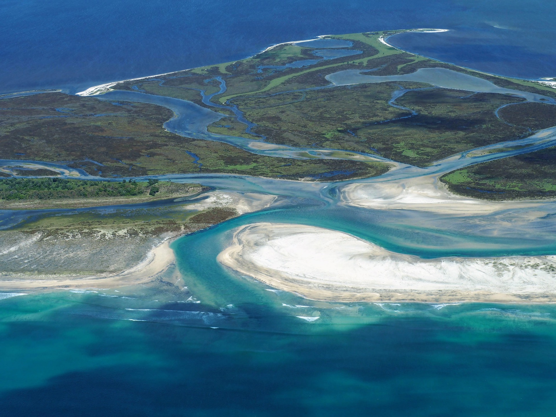 Chatham Islands