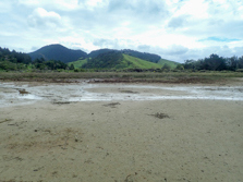Whiritoa