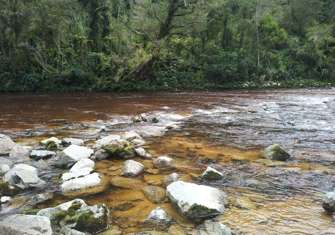 Oparara Rv @ Fenian Rd