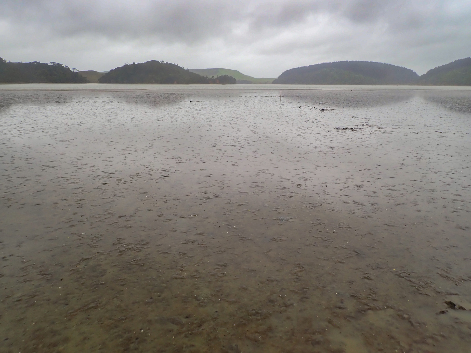 Kawhia