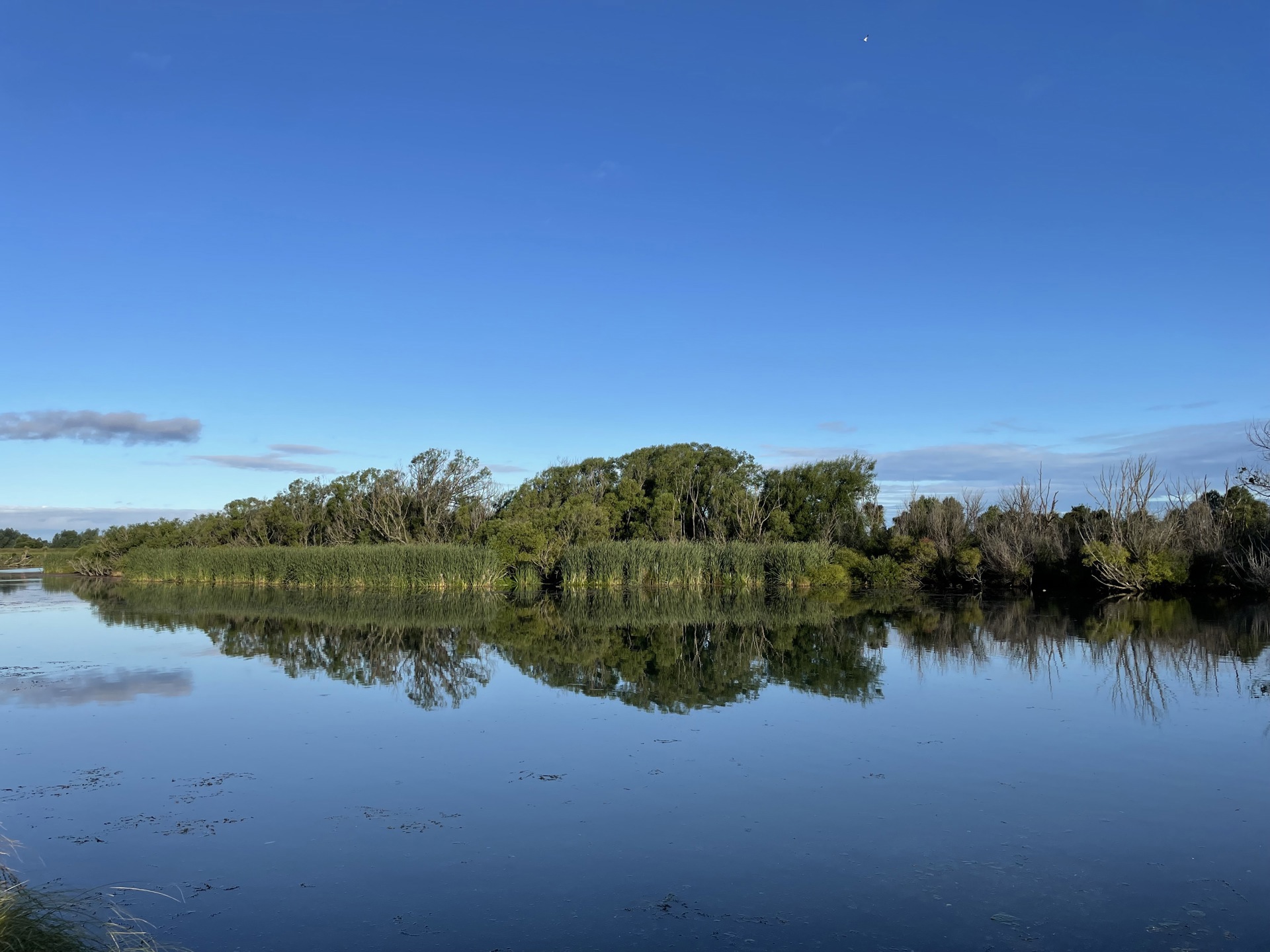 Grovetown Lagoon