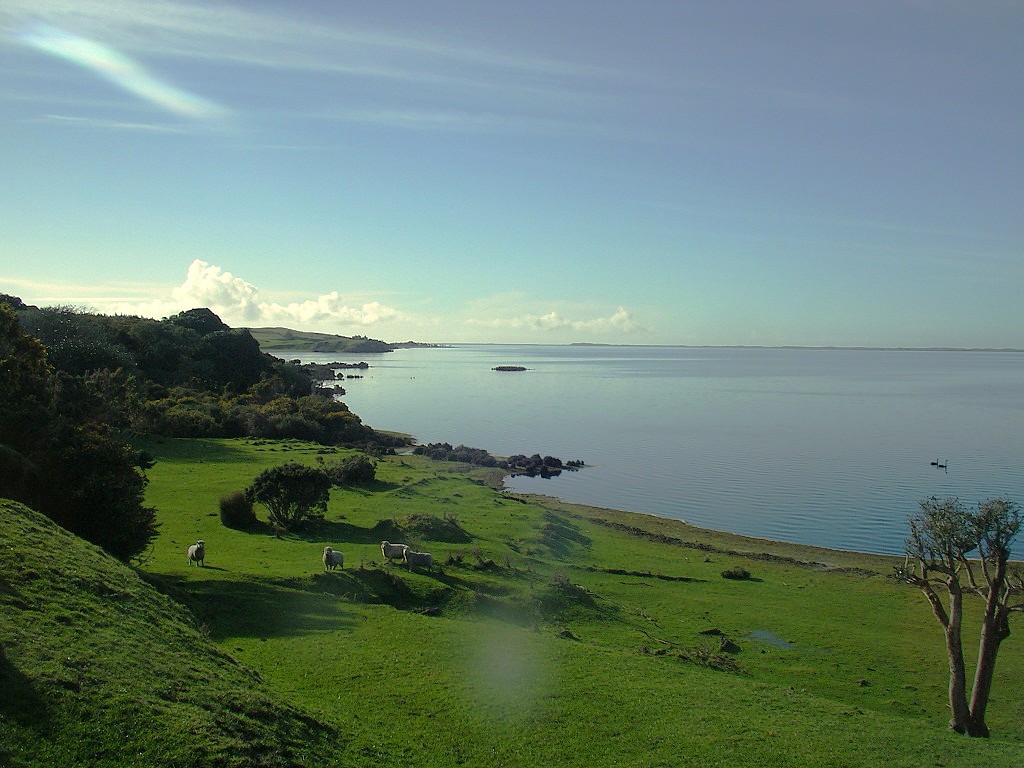 Te Whanga Lagoon