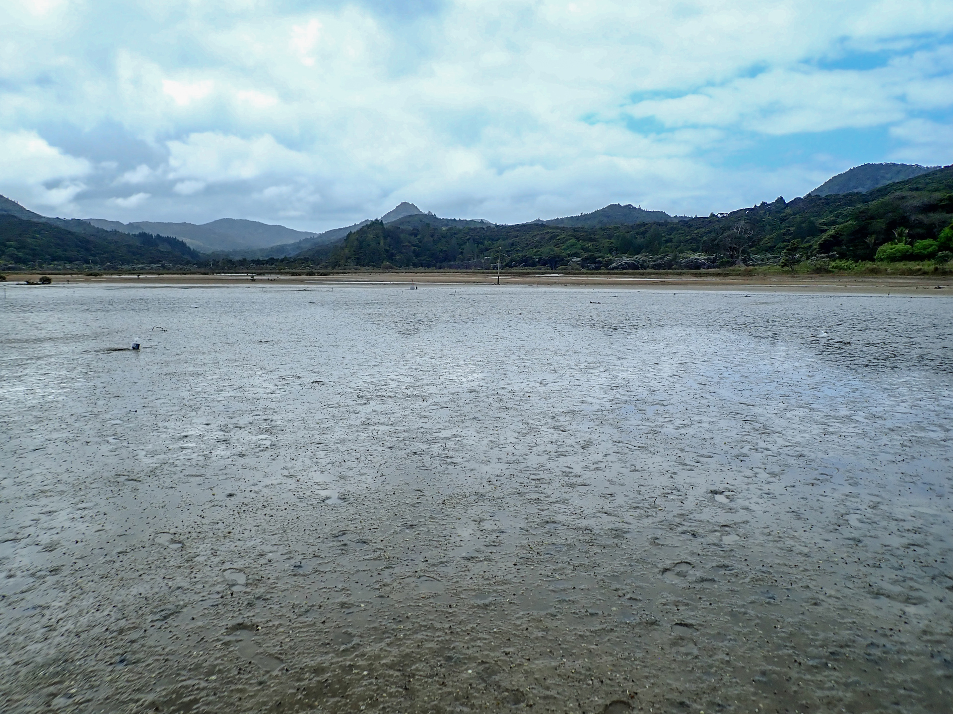 Kennedy Bay