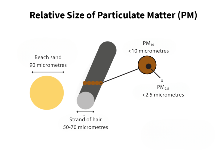 Graphic showing the relative size of particulate matter