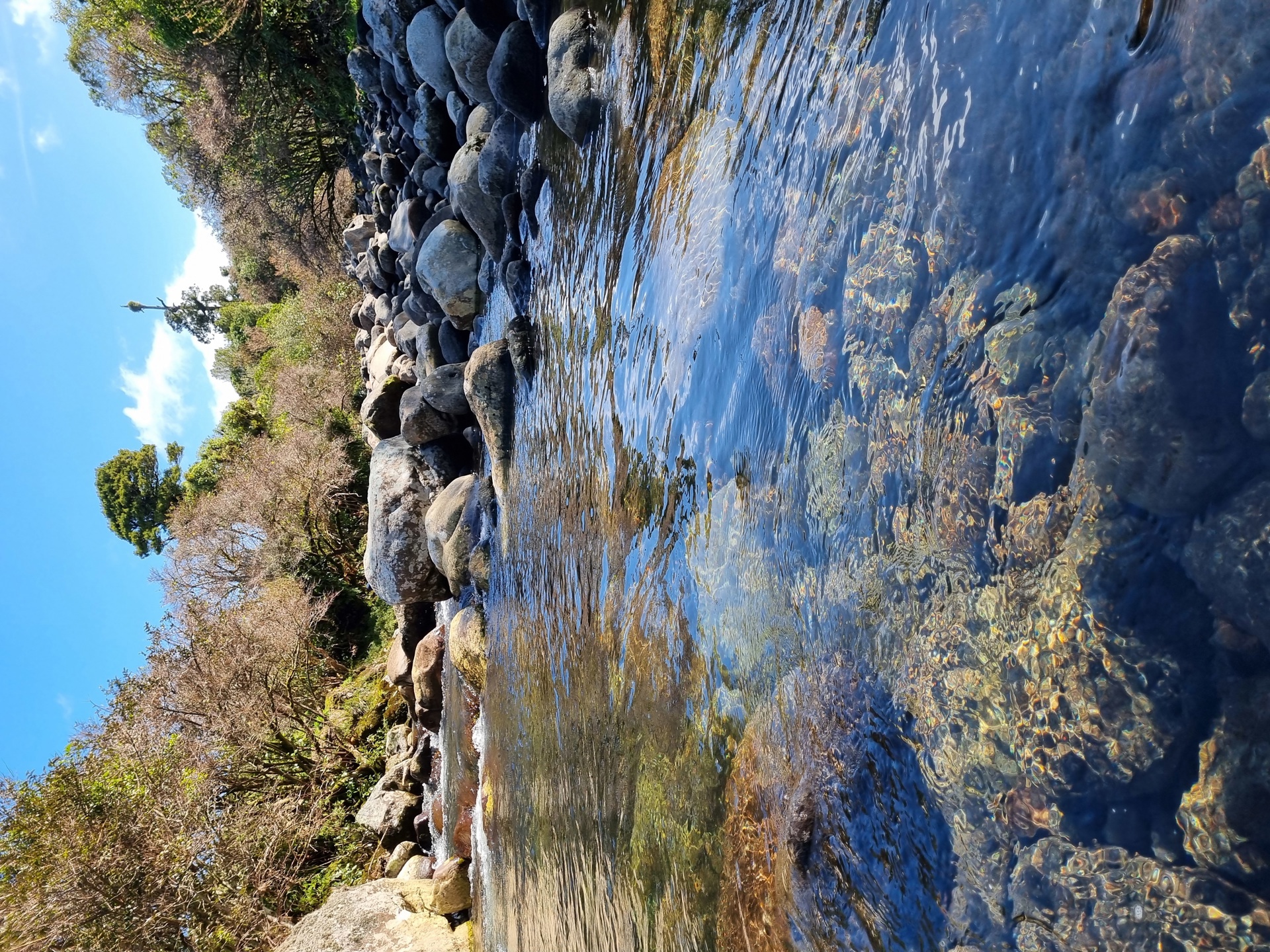 Waingongoro River