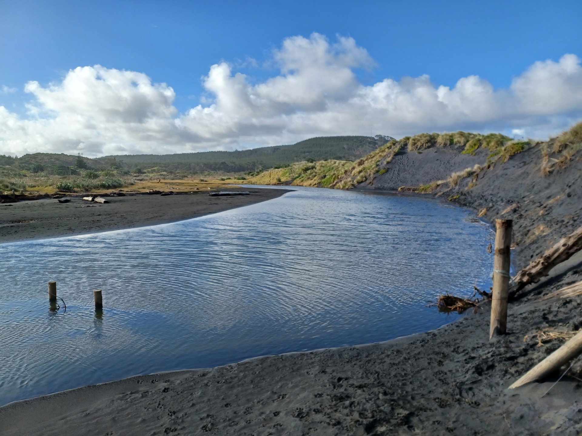 Muriwai