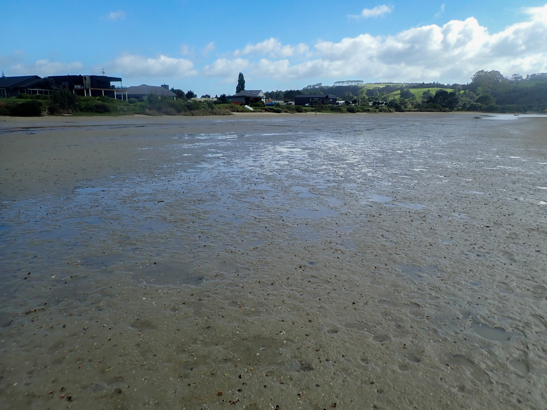 Pūrangi