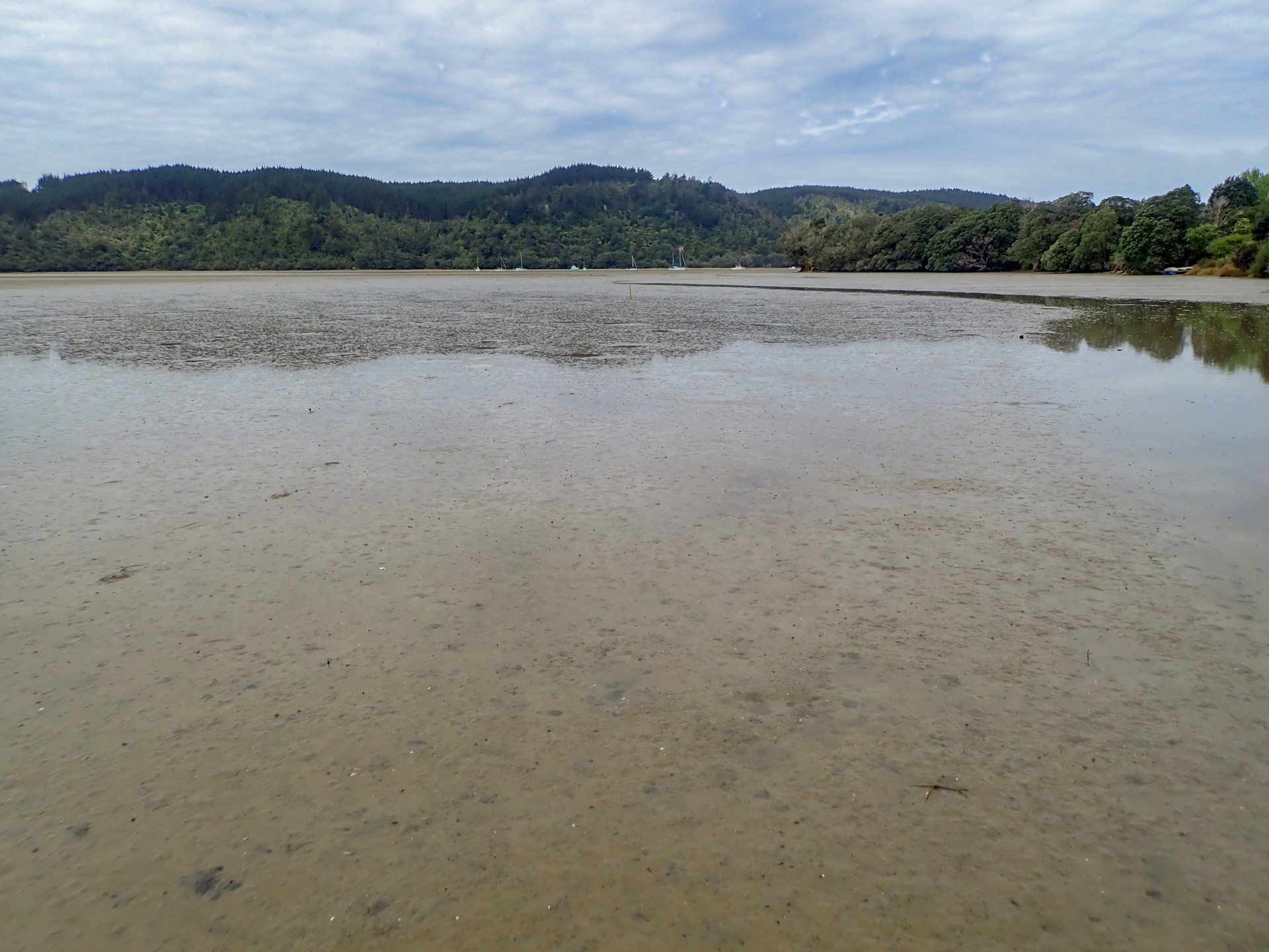 Whangamata