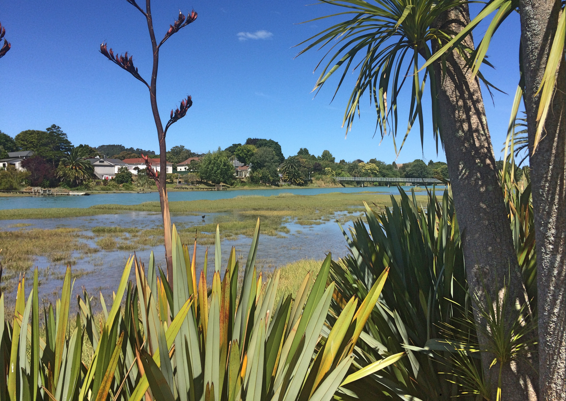 Gisborne region