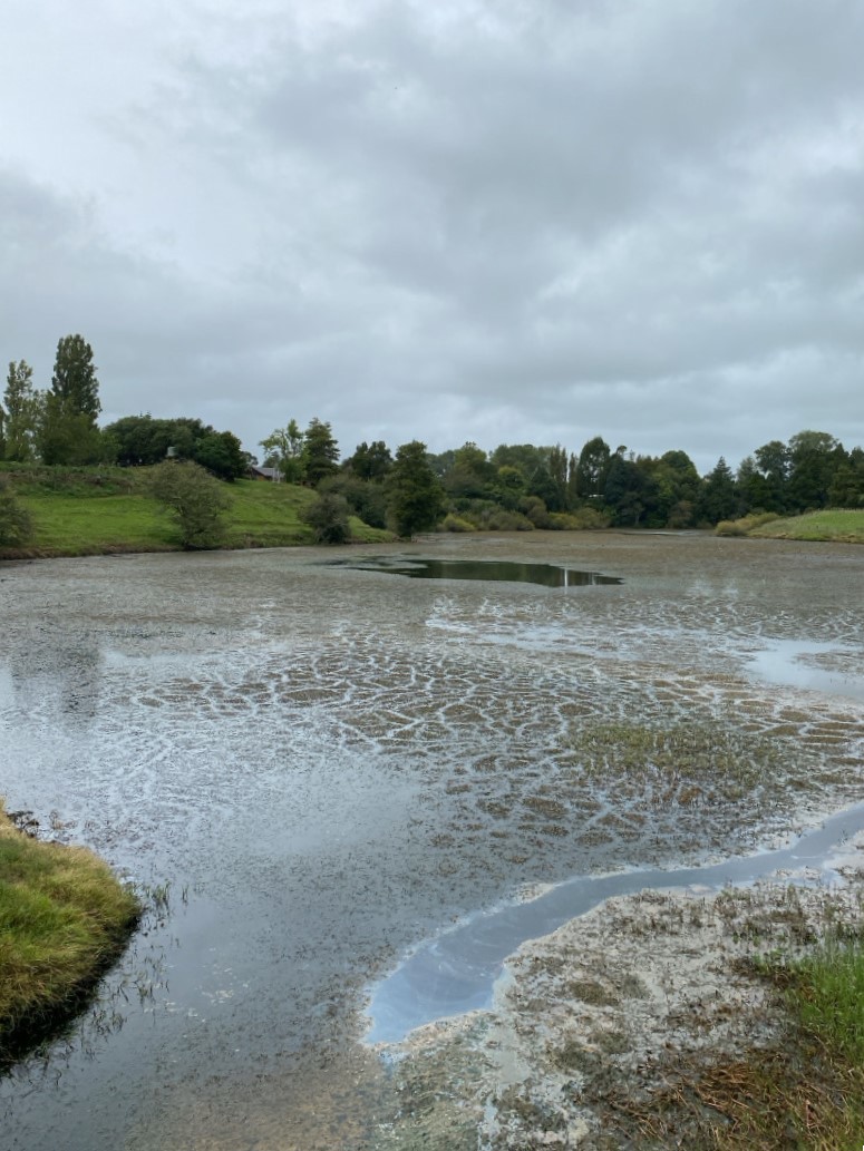 Lake Otamanui